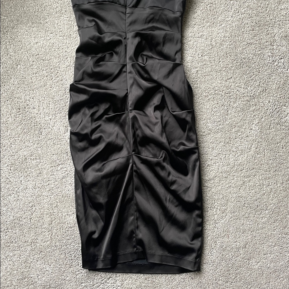 Cache Fitted Dress - Picture 4 of 6